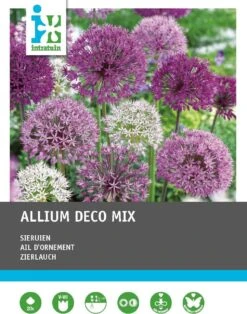 Intratuin Bloembollen Sierui (Alium) Gemengd 20 Stuks