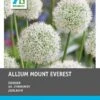 Intratuin Bloembollen Sierui (Allium 'Mount Everest') 3 Stuks -Tuin Planten Winkel 8717263786979