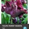 Intratuin Bloembollen Tulp (Tulipa 'Negritta Parrot') 7 Stuks 1 Intratuin Bloembollen Tulp (Tulipa 'Negritta Parrot') 7 Stuks -Tuin Planten Winkel 8717263787235