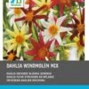 Intratuin Dahlia Knol (Dahlia 'Windmolen' Mix) 5 Stuks 1 Intratuin Dahlia Knol (Dahlia 'Windmolen' Mix) 5 Stuks -Tuin Planten Winkel 8717263787686 0