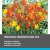 Intratuin Bloembollen Montbretia (Crocosmia ) Gemengd 40 Stuks 2 Intratuin Bloembollen Montbretia (Crocosmia ) Gemengd 40 Stuks -Tuin Planten Winkel 8717263787914