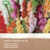 Intratuin Biologische Bloembollen Gladiool (Gladiolus Grandiflora) Gemengd 25 Stuks -Tuin Planten Winkel 8717263787945