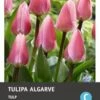 Intratuin Bloembollen Tulp (Tulipa 'Algarve') 10 Stuks 2 Intratuin Bloembollen Tulp (Tulipa 'Algarve') 10 Stuks -Tuin Planten Winkel 8717263788065