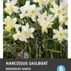 Intratuin Bloembollen Narcis (Narcissus 'Sailboat') 10 Stuks -Tuin Planten Winkel 8717263788096