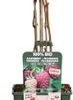 Herfstframboos (Rubus Idaeus 'Naschmich') D 19 H 50 Cm 1 Herfstframboos (Rubus Idaeus 'Naschmich') D 19 H 50 Cm -Tuin Planten Winkel 8719474819910 1