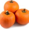 Sierkalebas (Cucurbita 'Oranje Halloween') D 20 Cm -Tuin Planten Winkel 8720196500963 0