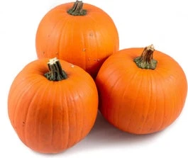 Sierkalebas (Cucurbita 'Oranje Halloween') D 20 Cm 3 Sierkalebas (Cucurbita 'Oranje Halloween') D 20 Cm