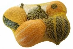 Sierkalebas Klein Gemengd In Netje (Cucurbita)