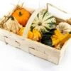 Aardbeienmandje Met Kalebassen (Cucurbita) -Tuin Planten Winkel 8720196501816 0