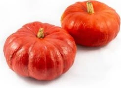 Pompoen (Cucurbita 'Rode Van Etampes') D 30 Cm