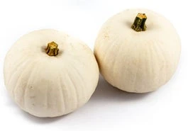 Sierkalebas (Cucurbita 'Snowbal') D 14 Cm 3 Sierkalebas (Cucurbita 'Snowbal') D 14 Cm