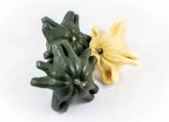 Sierkalebas (Cucurbita 'Yougoslavian Fingers') D 18 Cm