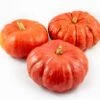 Pompoen (Cucurbita 'Rode Van Etampes') D 20 Cm 2 Pompoen (Cucurbita 'Rode Van Etampes') D 20 Cm -Tuin Planten Winkel 8720196502097 0