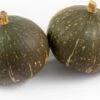 Pompoen (Cucurbita 'Groen/blauwe Hokkaido') D 15 Cm 2 Pompoen (Cucurbita 'Groen/blauwe Hokkaido') D 15 Cm -Tuin Planten Winkel 8720196502158 0