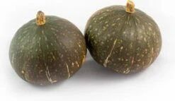 Pompoen (Cucurbita 'Groen/blauwe Hokkaido') D 15 Cm