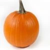 Sierkalebas (Cucurbita 'Halloween XXL') D 35 Cm -Tuin Planten Winkel 8720196502172 0