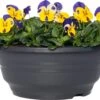 Hoornviooltje In Schaal (Viola Cornuta In Schaal) Blauw Geel D 23 H 25 Cm 1 Hoornviooltje In Schaal (Viola Cornuta In Schaal) Blauw Geel D 23 H 25 Cm -Tuin Planten Winkel 8720196550005