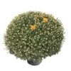 Bolchrysant (Chrysanthemum) Bruin D 19 H 45 Cm 1 Bolchrysant (Chrysanthemum) Bruin D 19 H 45 Cm -Tuin Planten Winkel 8720196663088