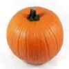 Sierkalebas (Cucurbita 'Oranje Halloween') D 15 Cm 2 Sierkalebas (Cucurbita 'Oranje Halloween') D 15 Cm -Tuin Planten Winkel 8720196674558 0