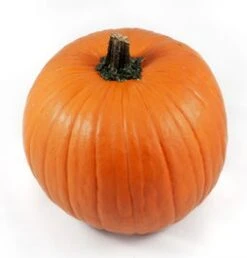 Sierkalebas (Cucurbita 'Halloween') D 15 Cm