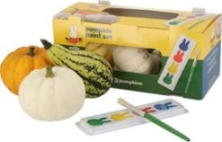 Pompoen (Cucurbita 'Nijntje Schilderset') D 15 Cm