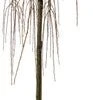 Treur Lork (Larix Kaempf. 'Stiff Weeping') D 30 H 200 Cm 1 Treur Lork (Larix Kaempf. 'Stiff Weeping') D 30 H 200 Cm -Tuin Planten Winkel 8720879744547 0 Larix kaem Stiff Weeping